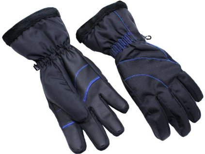 BLIZZARD Viva Harmonica, black/blue