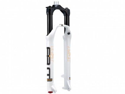Vidlice RST F1RST 29 Air 20/28,6 100mm (bílá)