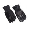 BLIZZARD Competition ski gloves, black/silver